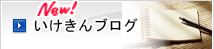 ブログ、いけきんブログ、まとめ。池上金属の毎日